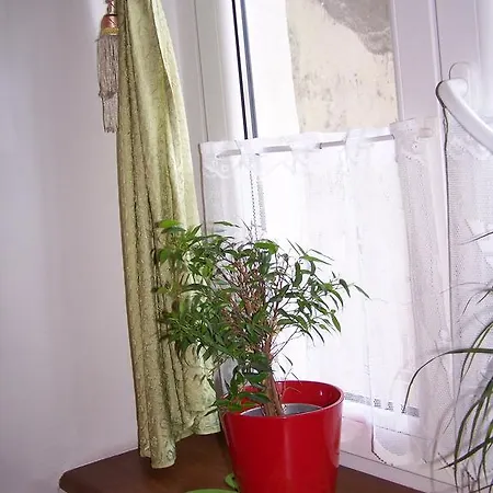 Film Хостел Познань